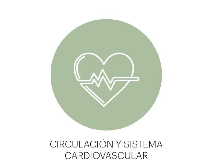 Circulación_Y_Sistema_Cardiovascular_TNDR