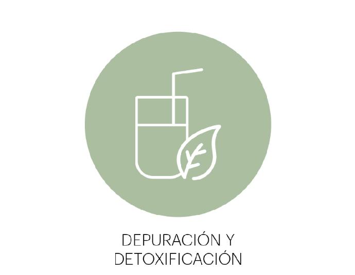 Depuración_Y_Detoxificación_TNDR