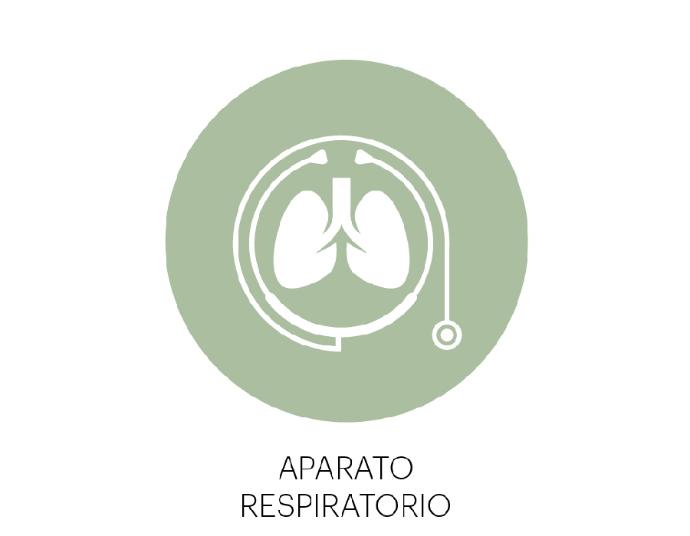 Aparato_Respiratorio_TNDR