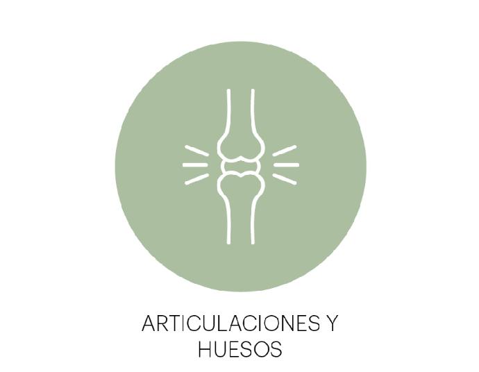 Articulaciones_Y_Huesos_TNDR