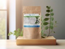 Zarzaparrilla - Planta de Salud TNDR 3