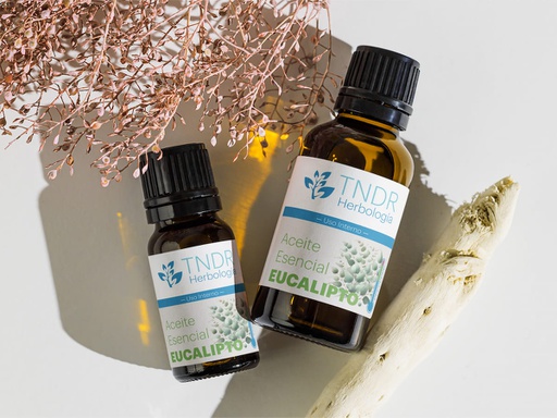 [AEEUCA] AE Eucalipto